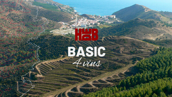 Visita Basic 4 Vins