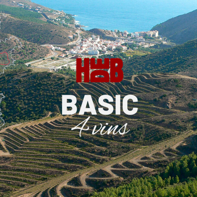 Visita Basic 4 Vins