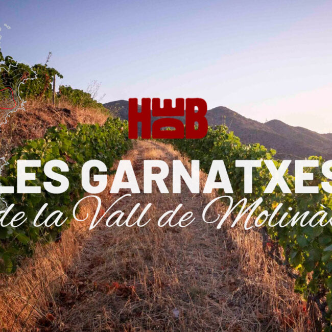 Visita Les Garnatxes de la Vall de Molinàs